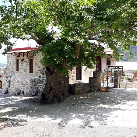 Traditional House Koukounara Kissamos Bagian luar foto