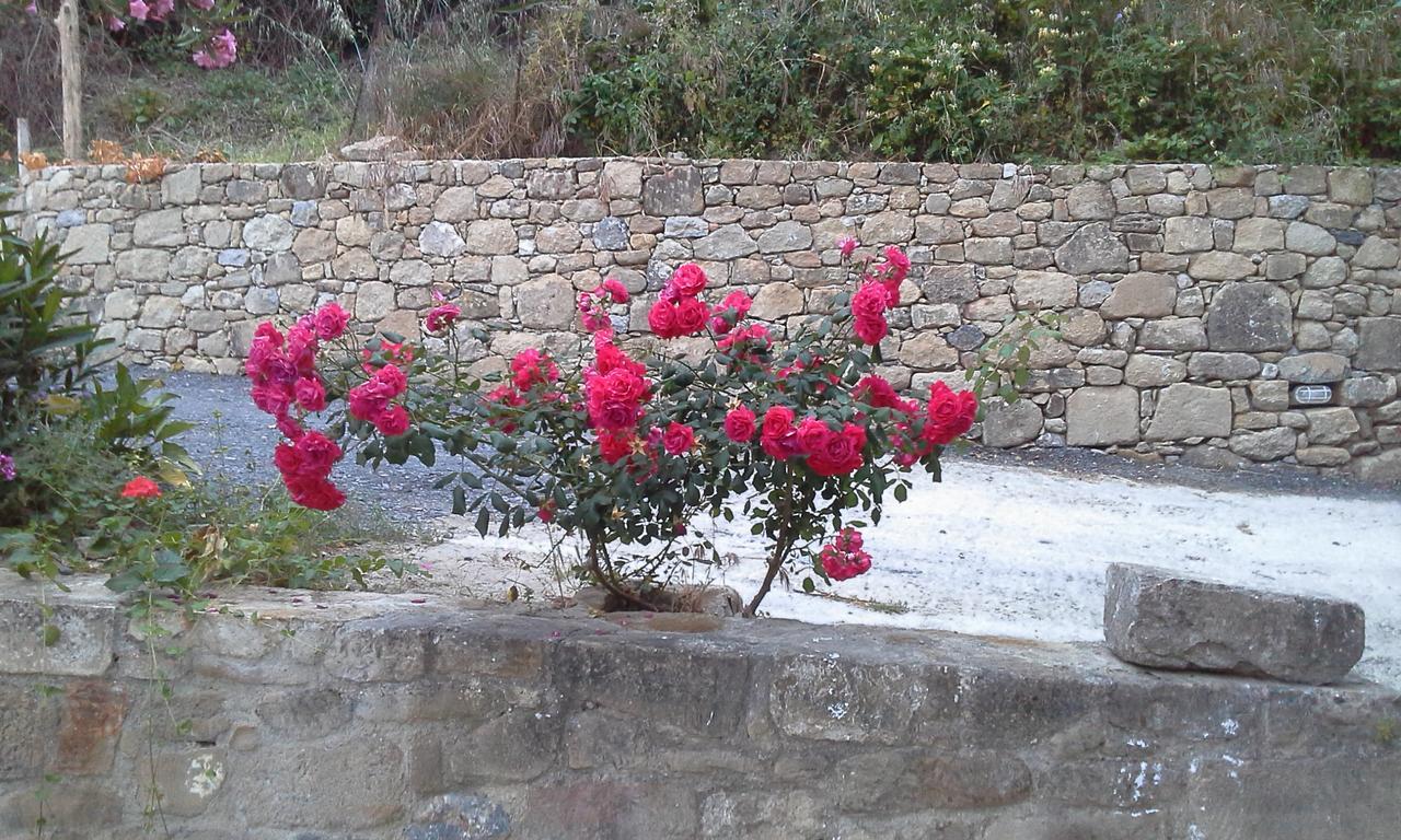 Traditional House Koukounara Kissamos Bagian luar foto