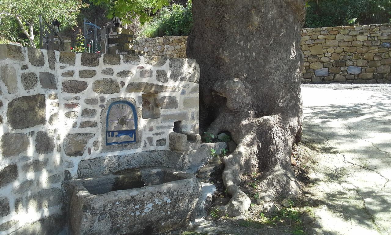 Traditional House Koukounara Kissamos Bagian luar foto
