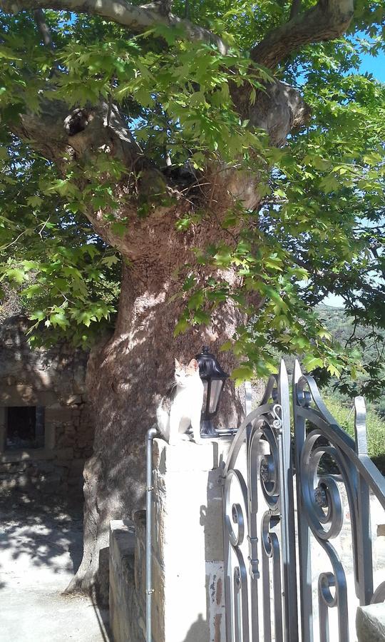 Traditional House Koukounara Kissamos Bagian luar foto