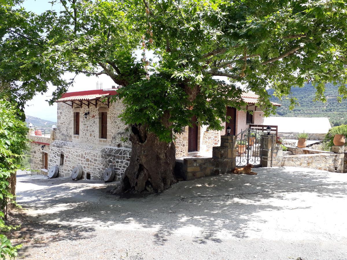 Traditional House Koukounara Kissamos Bagian luar foto