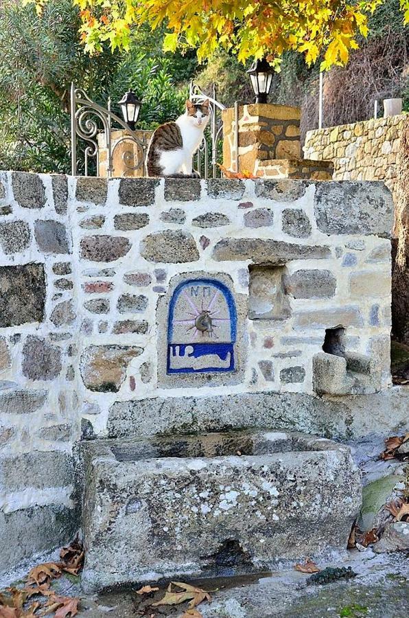 Traditional House Koukounara Kissamos Bagian luar foto